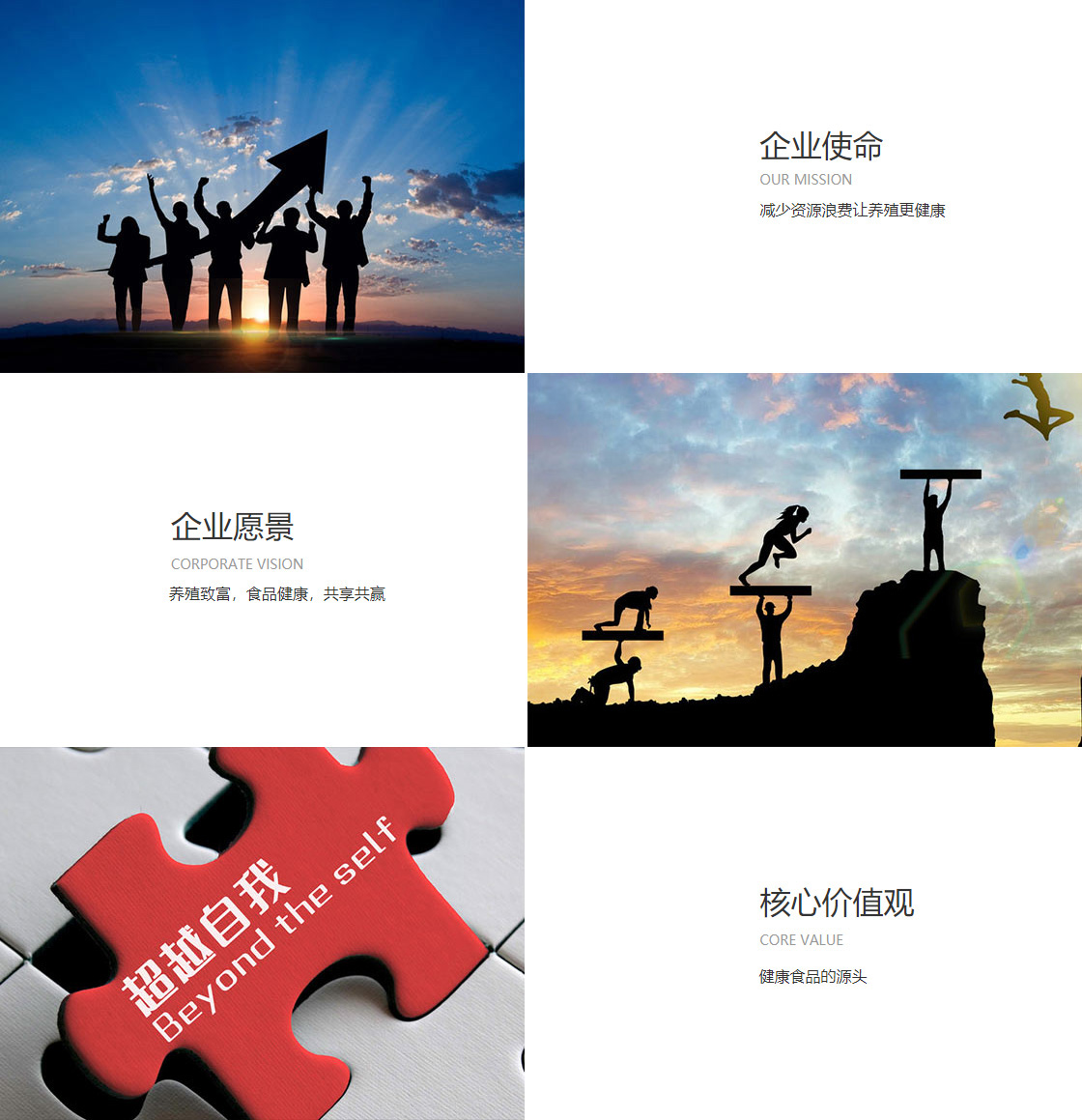 金年汇app官方网站下载最新版(图1)